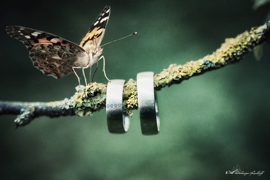 Photodesign Radloff 0399