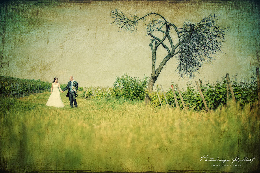 Photodesign Radloff 0445