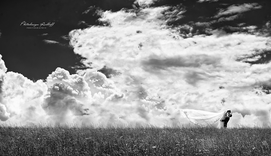 Photodesign Radloff 0480