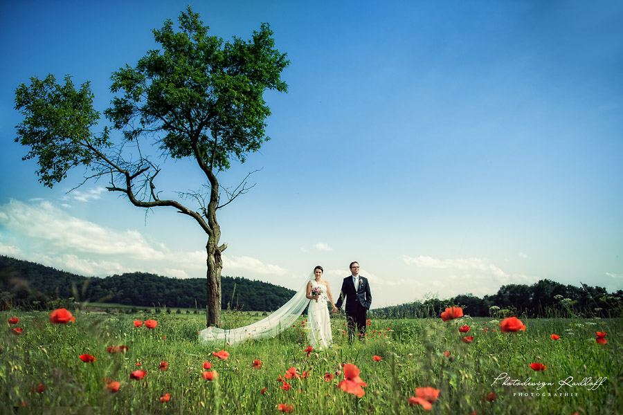 Photodesign Radloff 0590