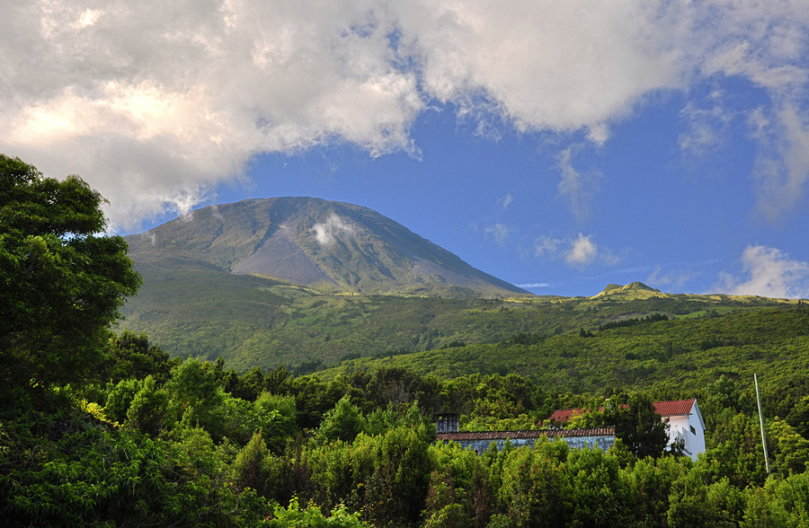 Pico1