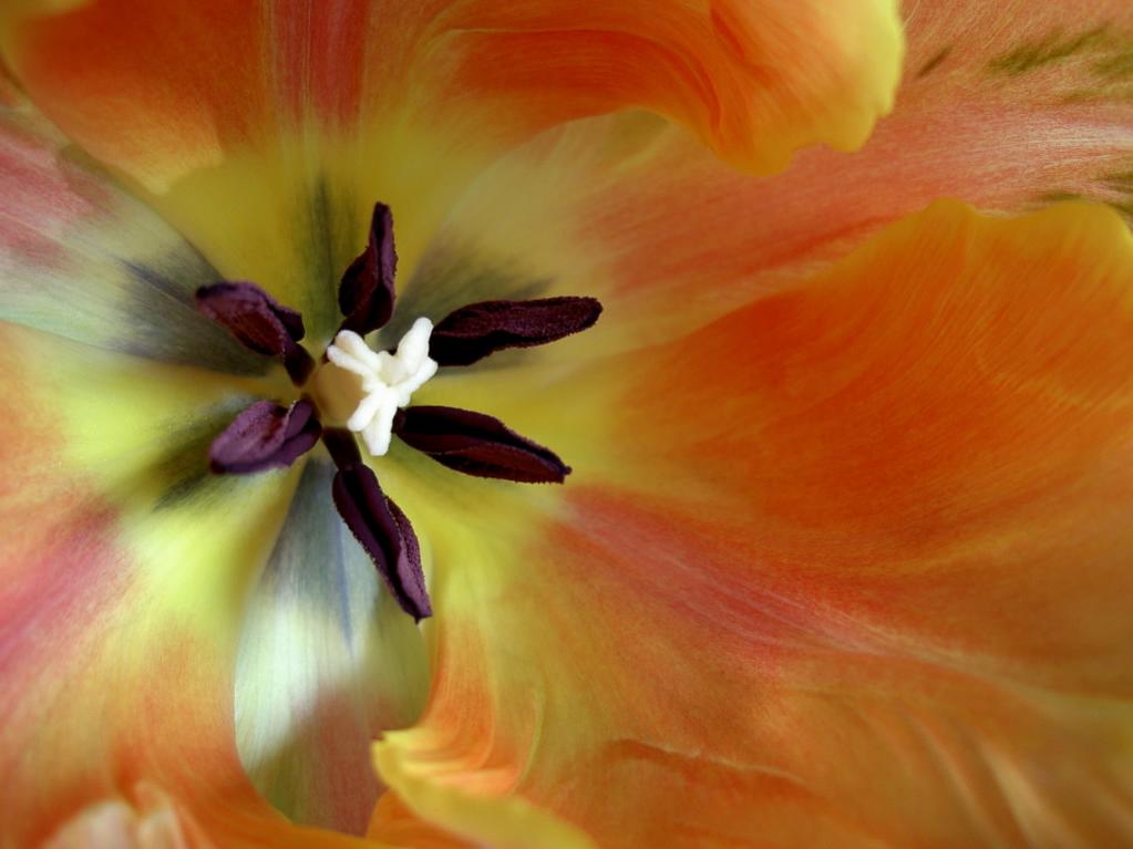 PICT0362