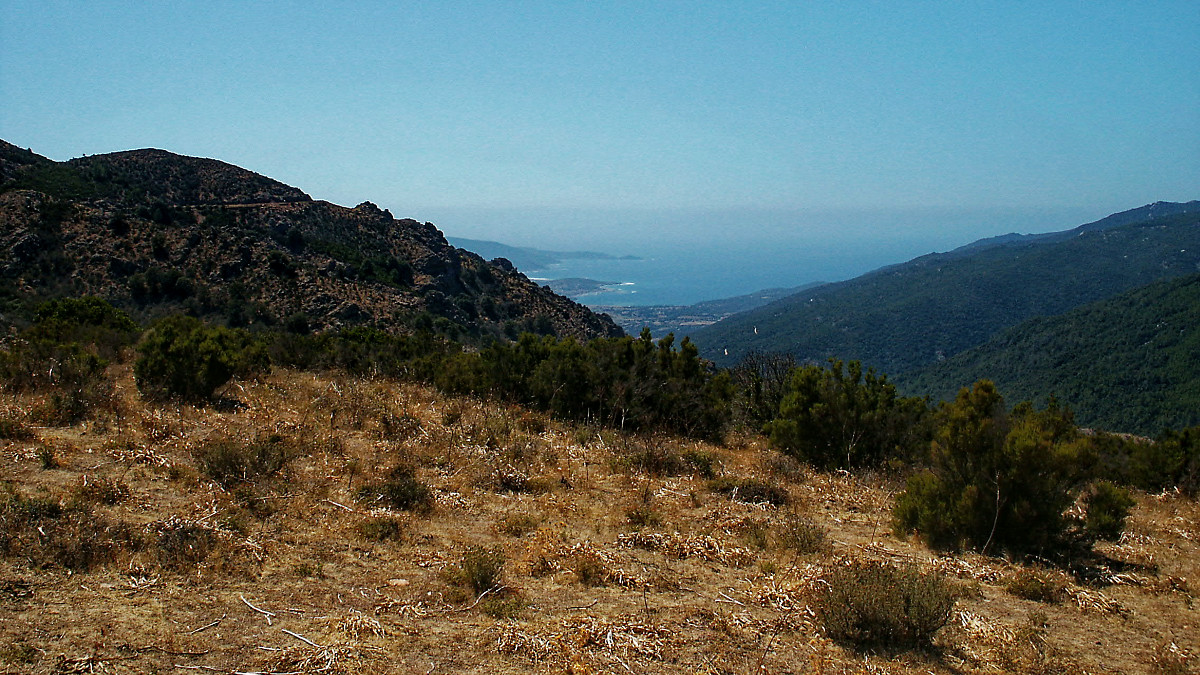 PICT1778_DxOPxl.jpg