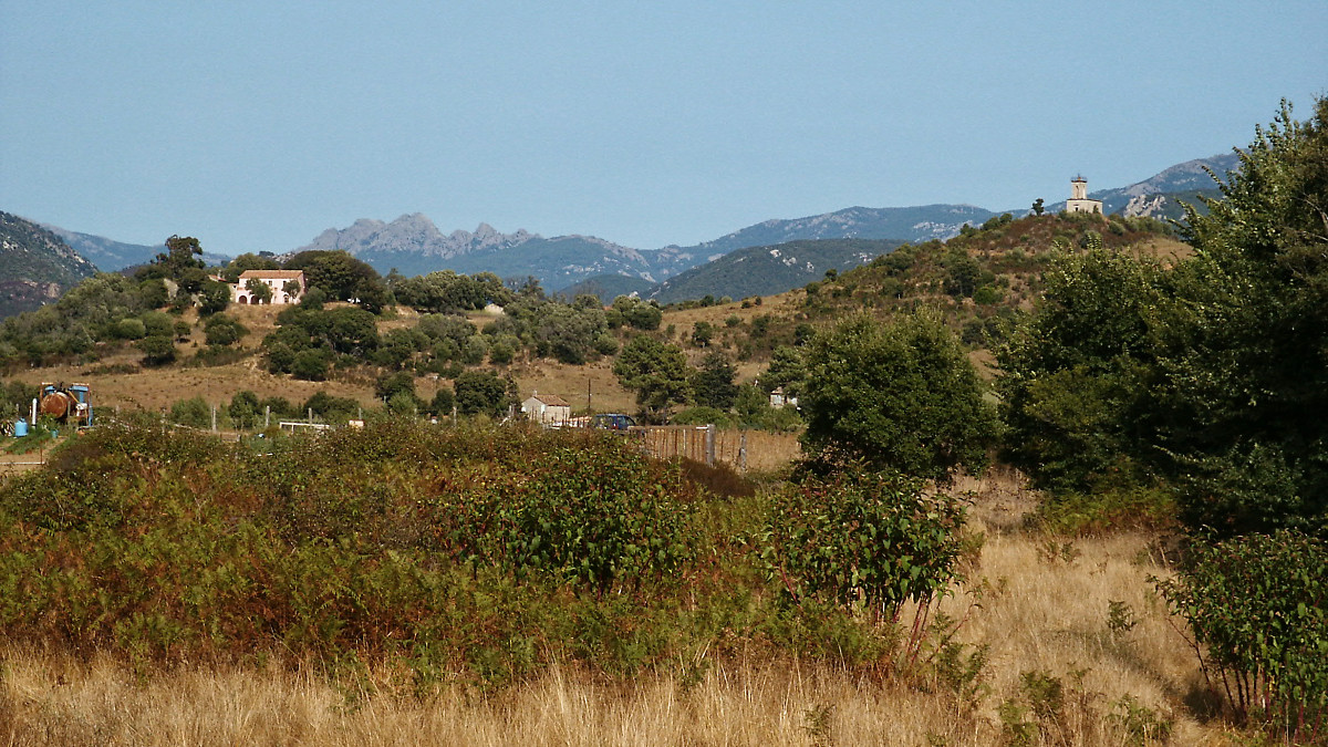 PICT1871_DxOPxl.jpg