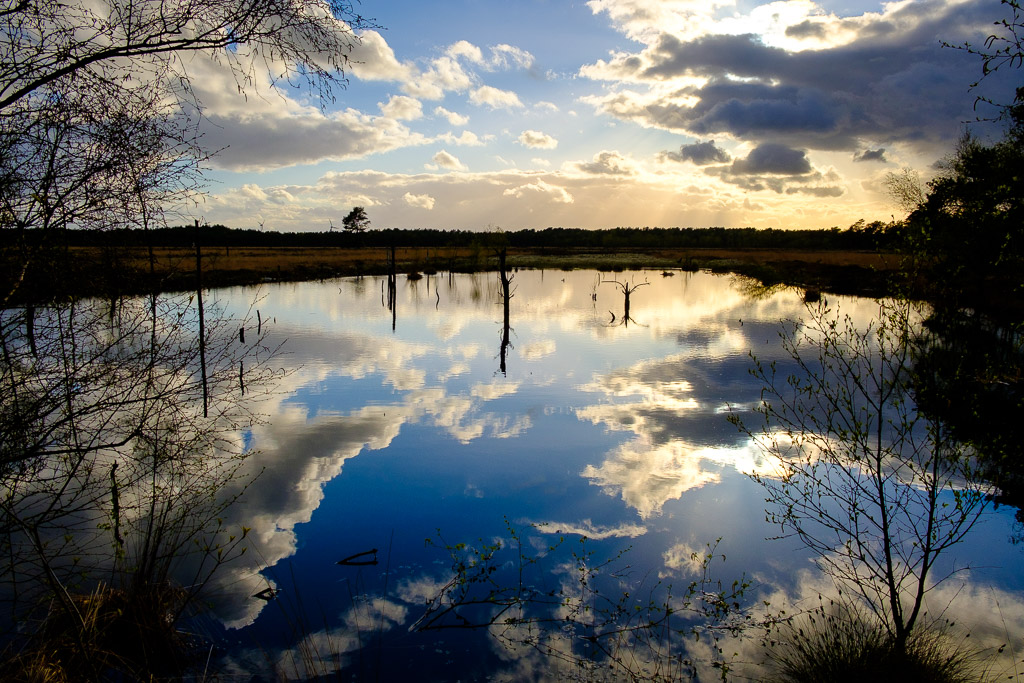 Pietzmoor 2387