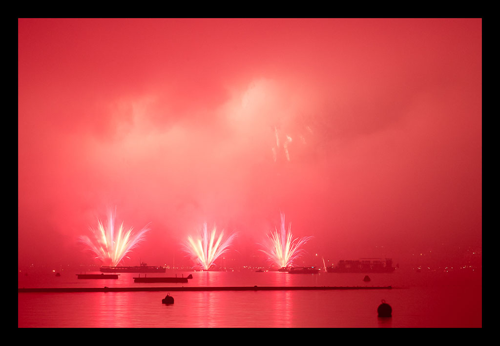 Pink   01. Januar 2016