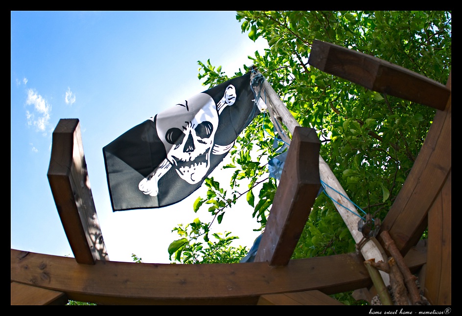 Piraten (im Garten)
s DSC 0011 lzn