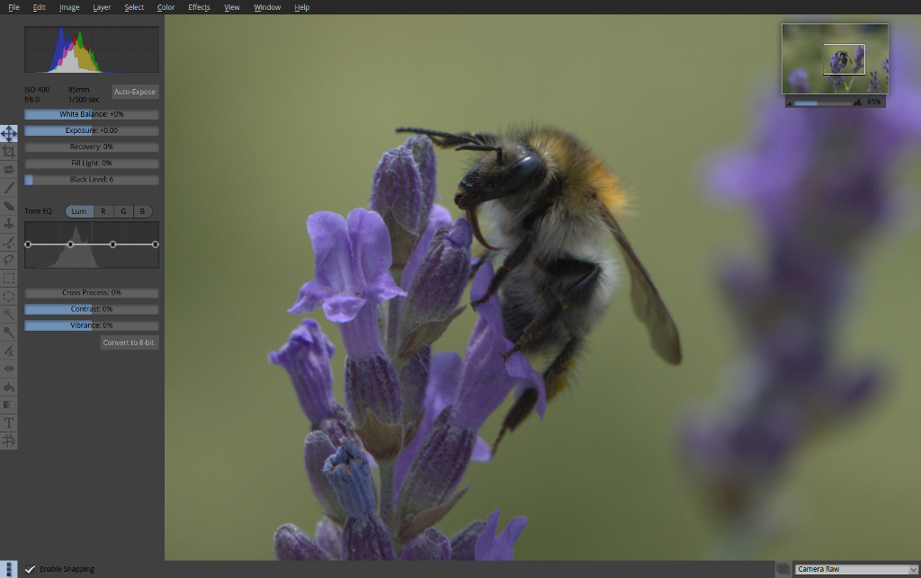Pixeluvo Camera Raw