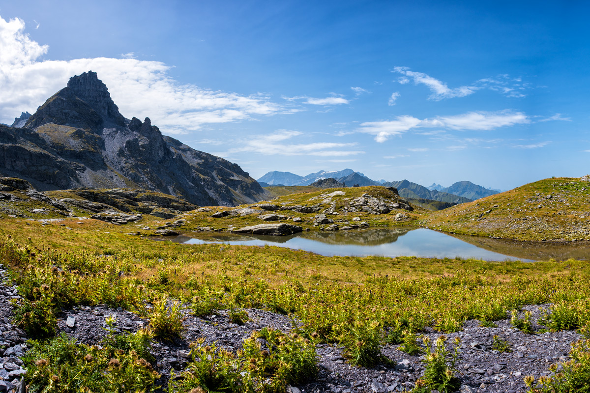 Pizol Panorama