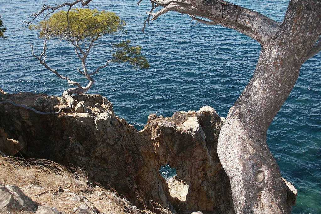 Plage de l'Estagnol x