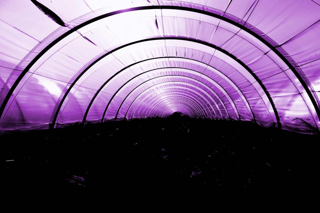 Plasticworld
