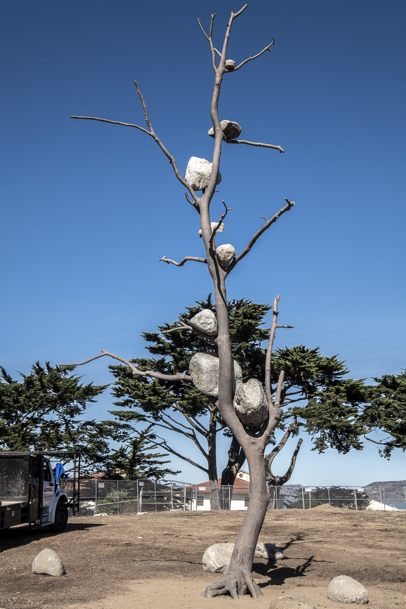 Plastikbaum San Francisco.jpg