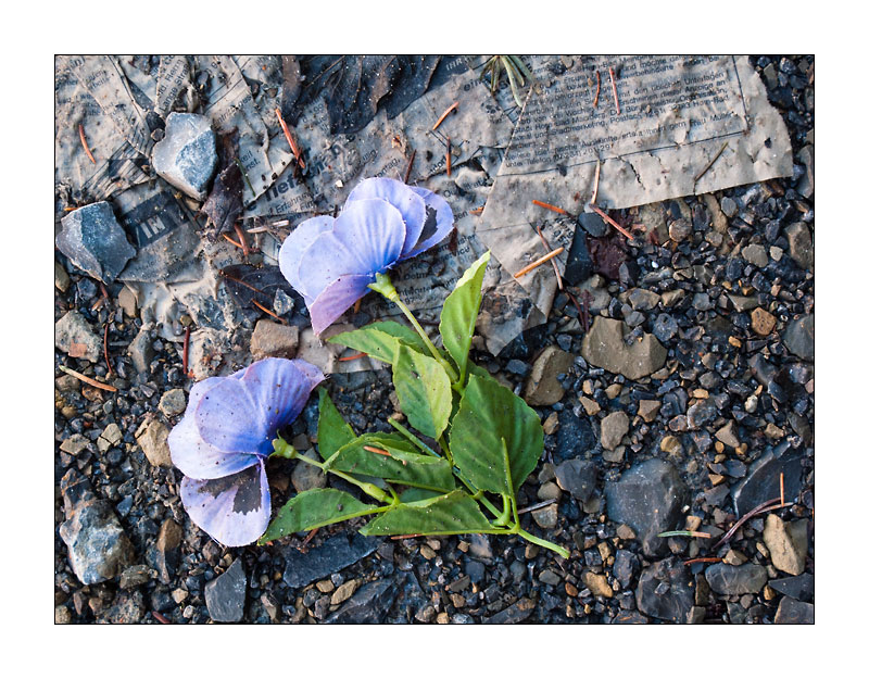 Plastikblume