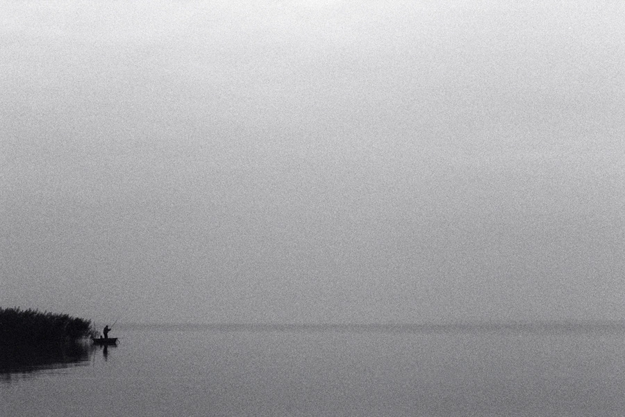 Plattensee