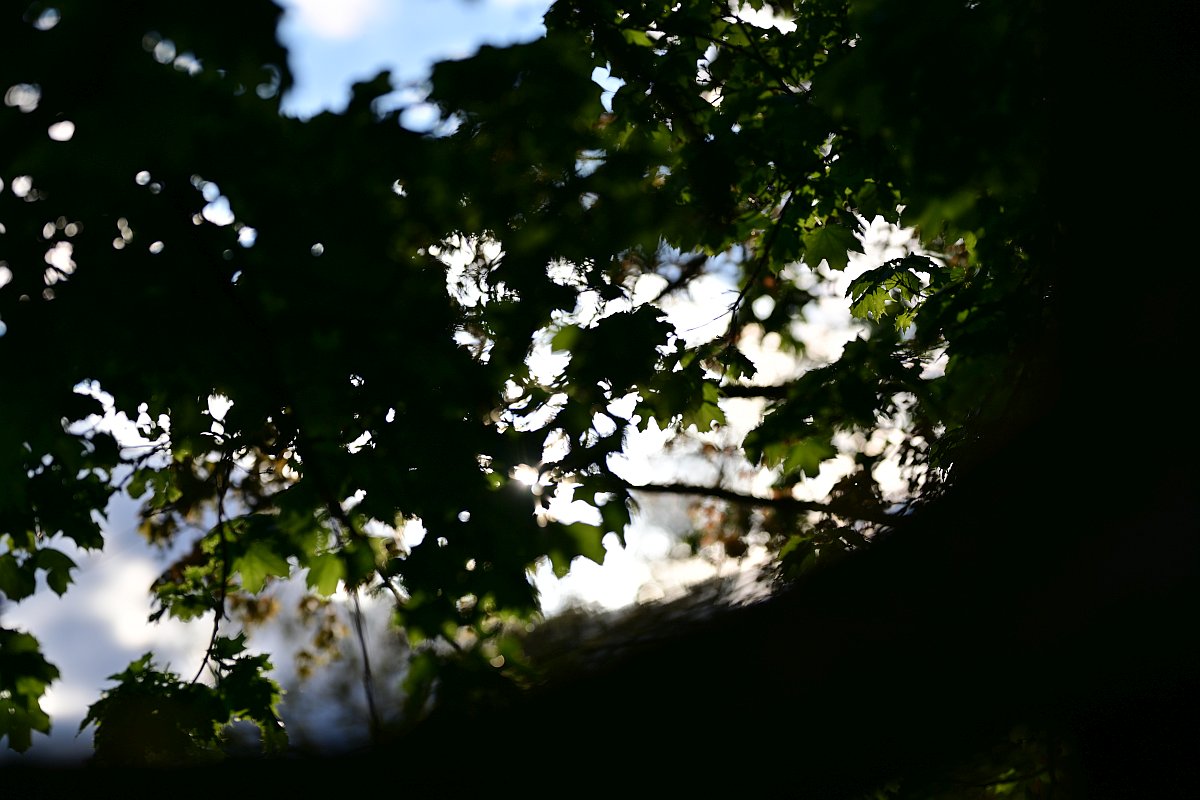 Plena-Schatten-Bokeh.jpg