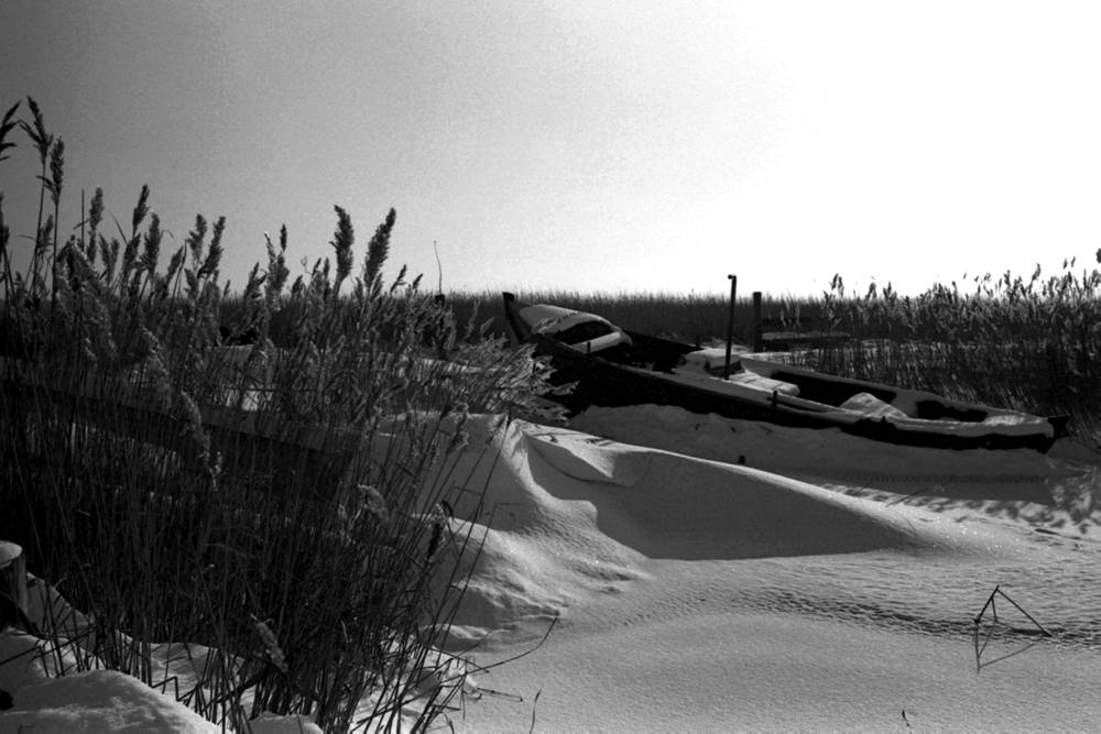 plusXPan125 008web