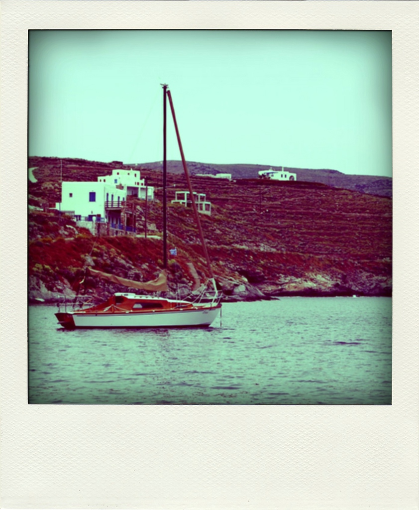 pola pola