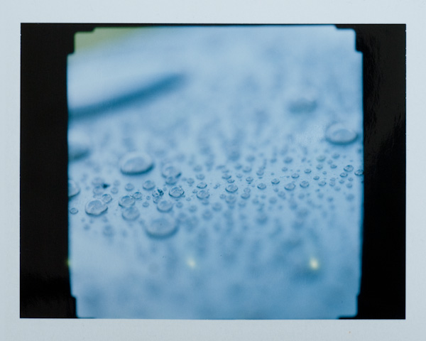 pola05