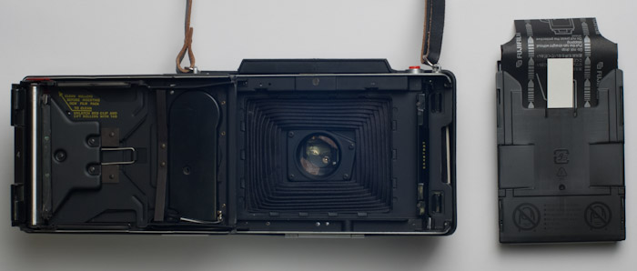 pola2
