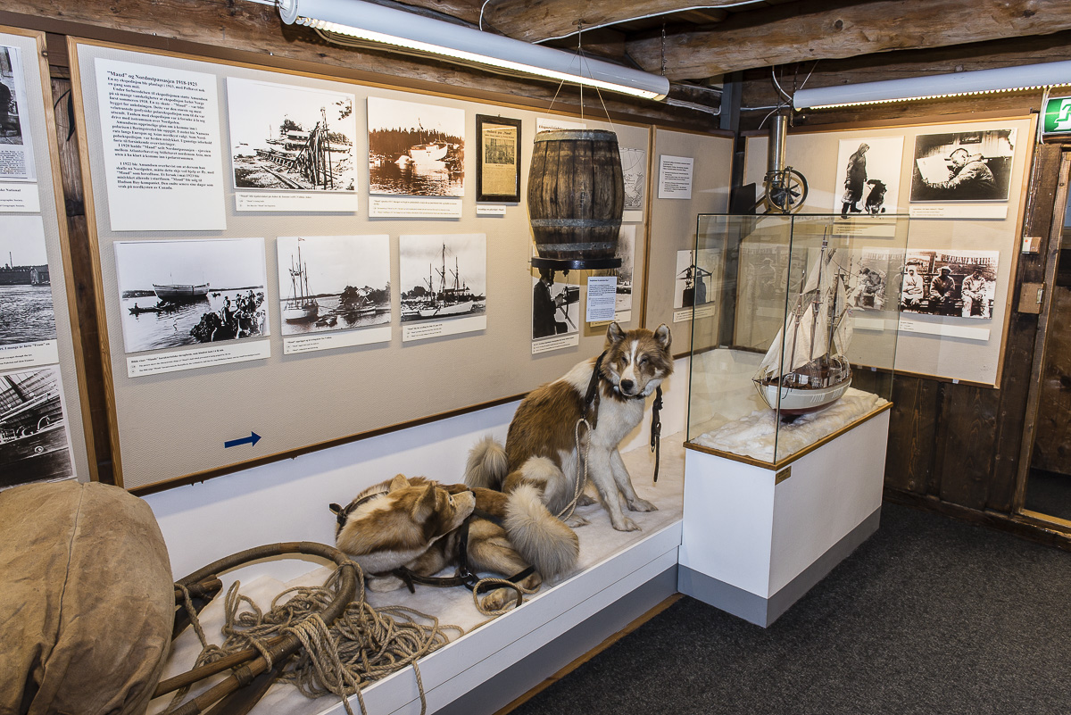 Polarmuseum 4