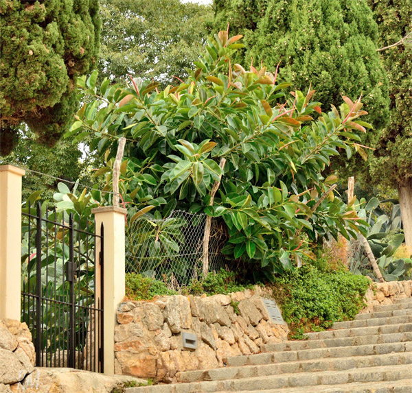 Pollensa, Kalvarienberg