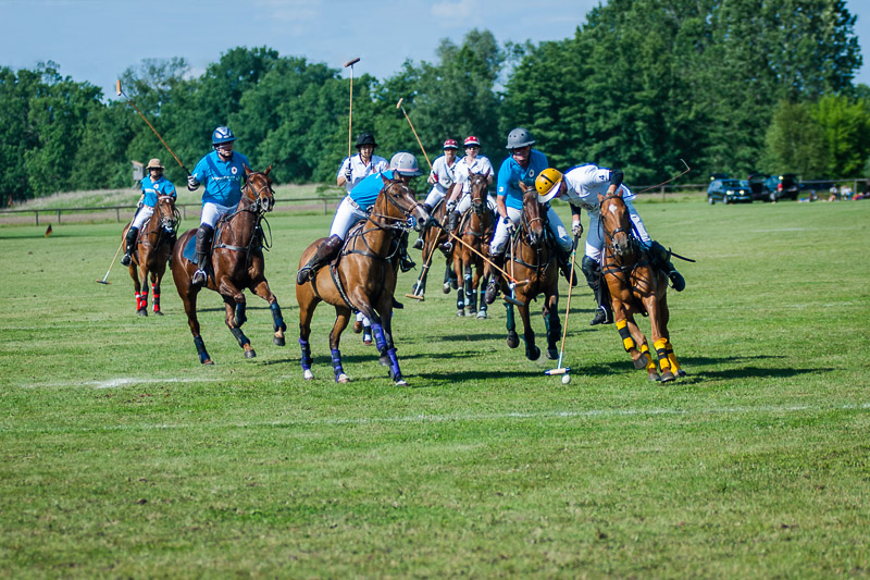 Poloturnier   Start Up Cup 2012  10. Juni 2012 0022