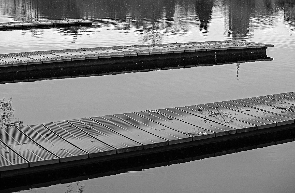 Ponton