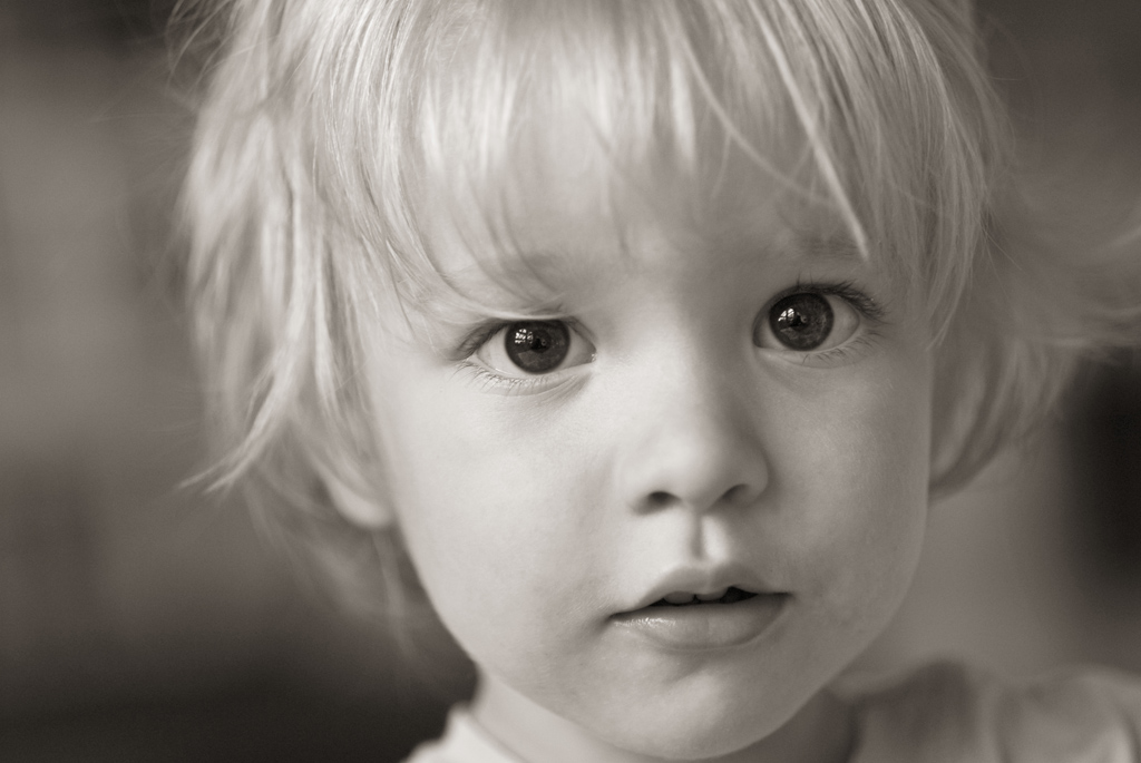 Portrait SW