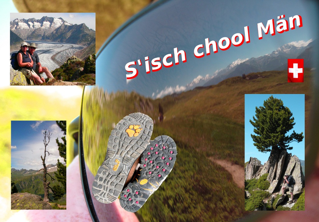 Postcard Swiss S