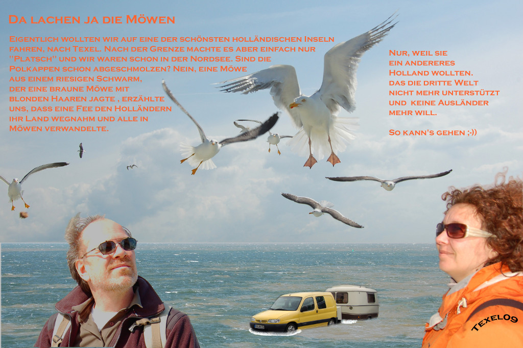 Postcard Texel