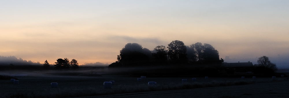 Präsgård morgondimma NFF