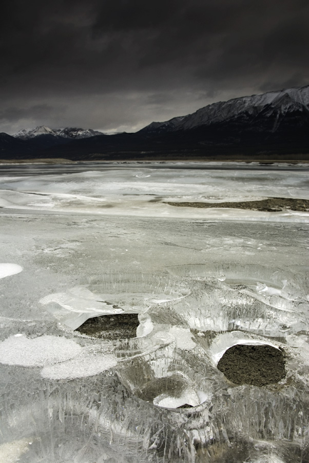 Preacher's Point am Lake Abraham, Bighorn Wildlands