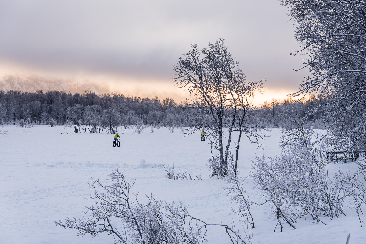 Prestvannet (2)
