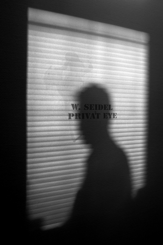 Private Investigations by Dire Straits