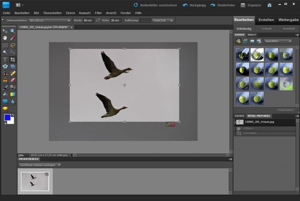 PSE Zuschneiden Screenshot