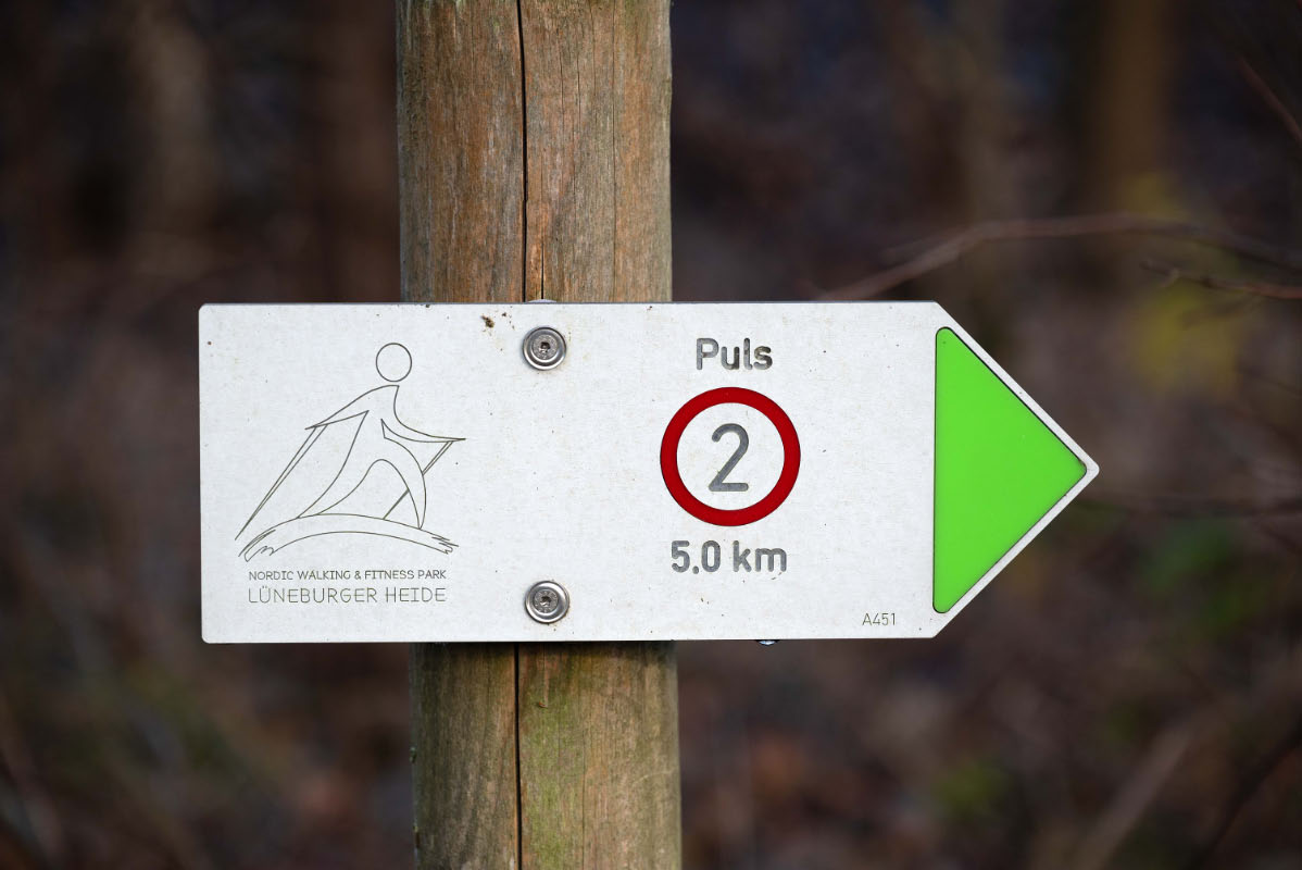 Puls 2.jpg