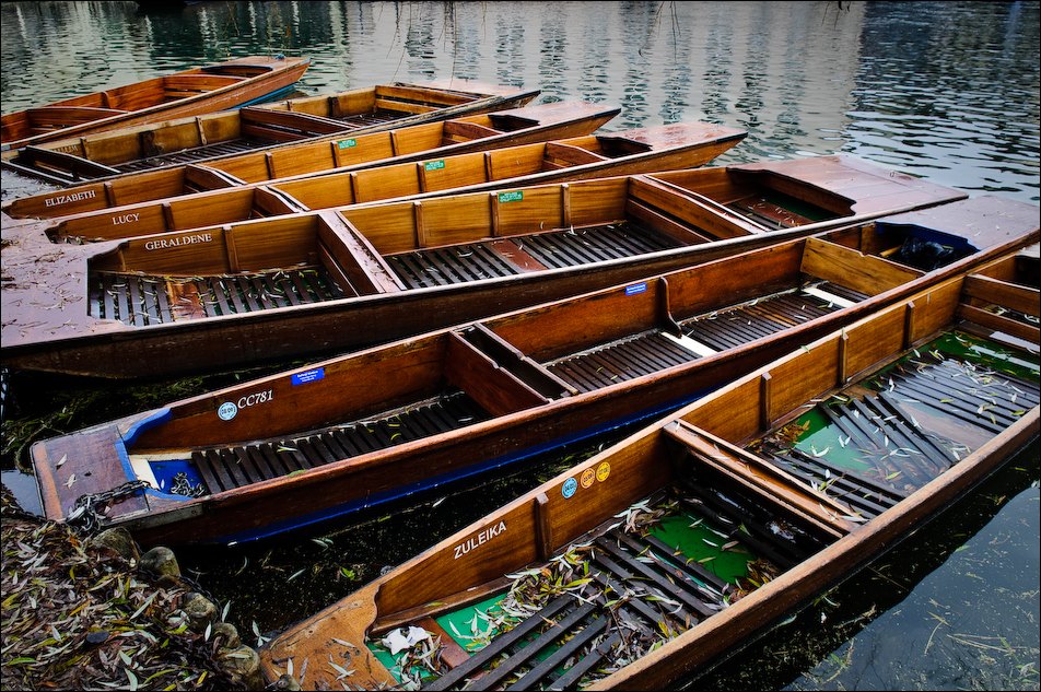 Punts in Cambridge
