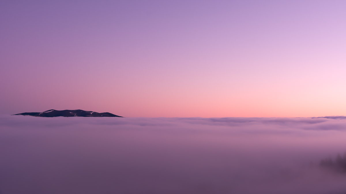 purple
