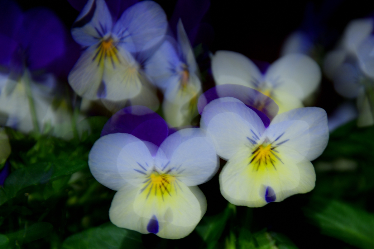 PVO_0765_00001_02.jpg