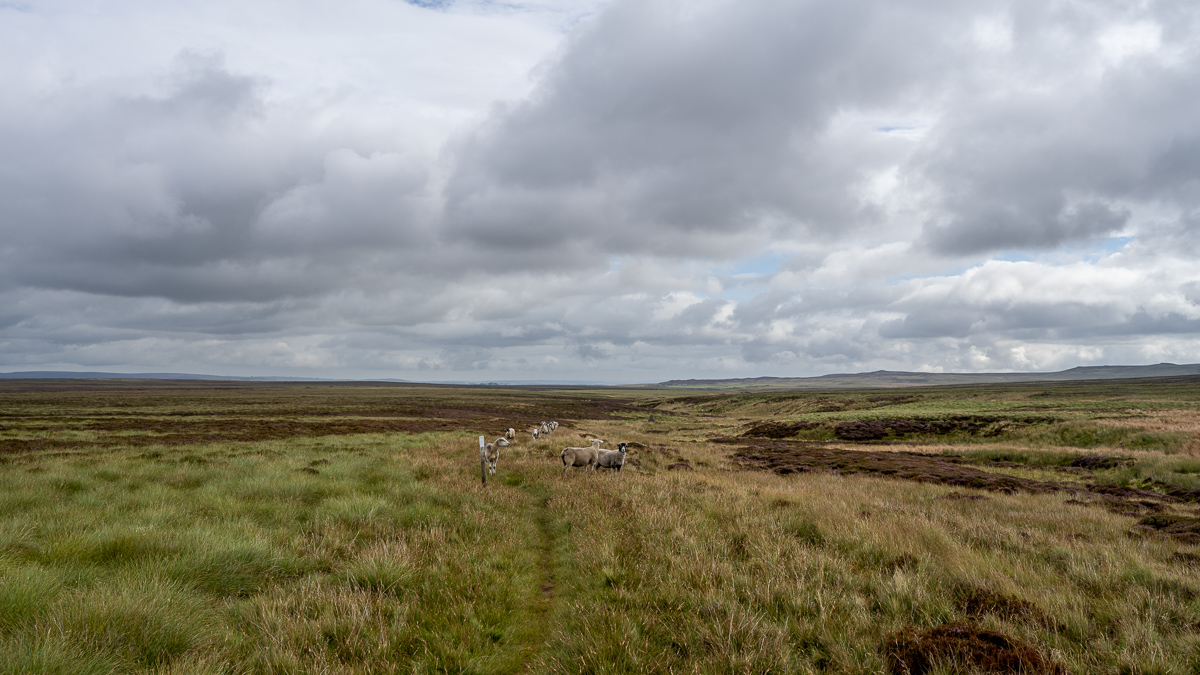 pw_20250829_2969.jpg