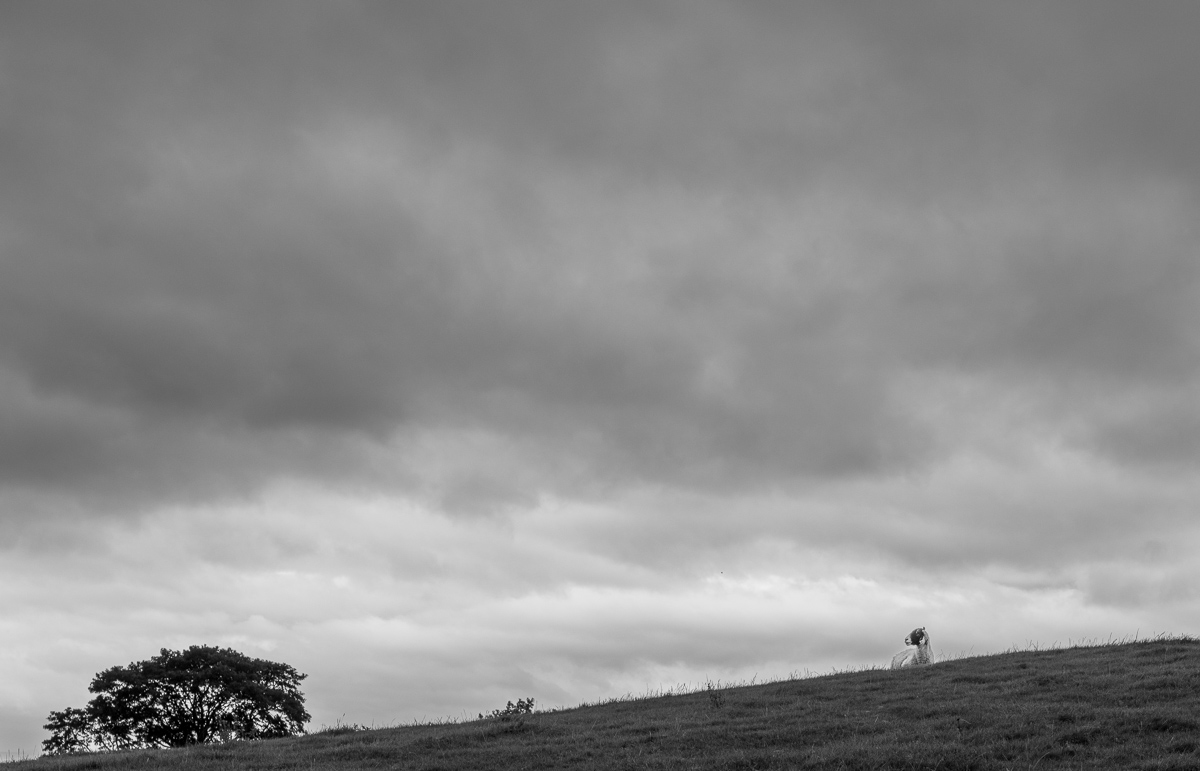 pw_20250901_3200.jpg
