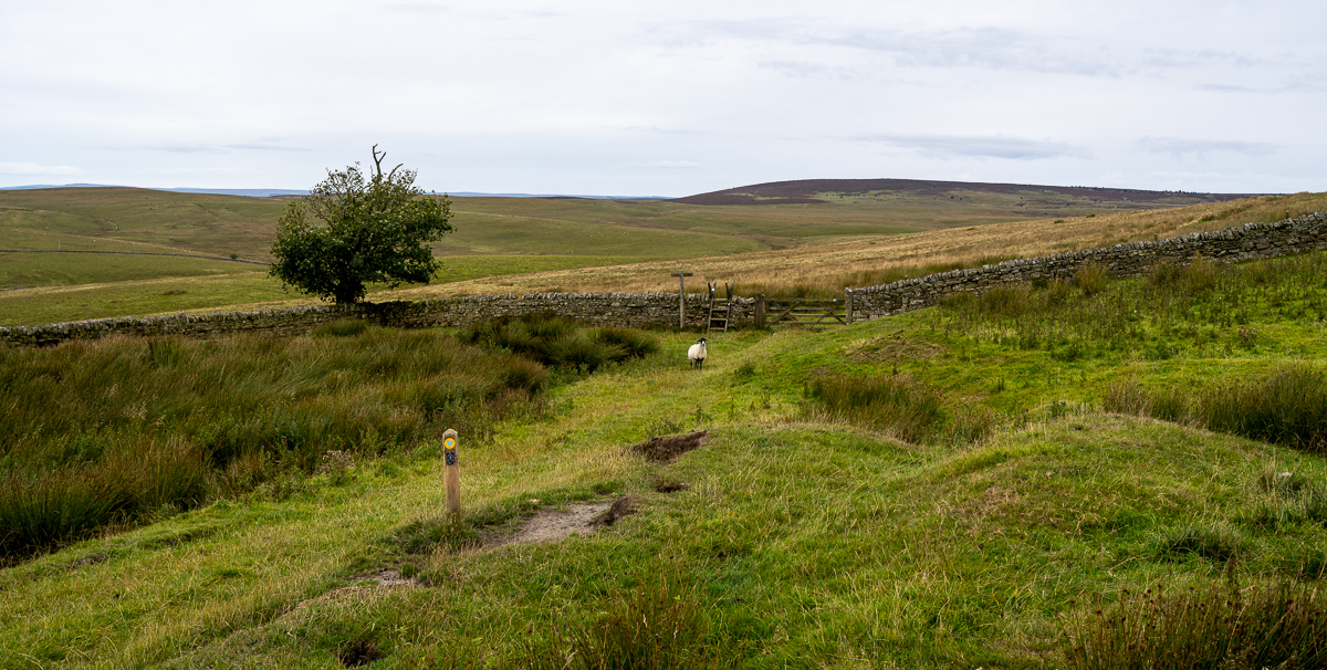 pw_20250906_3463.jpg