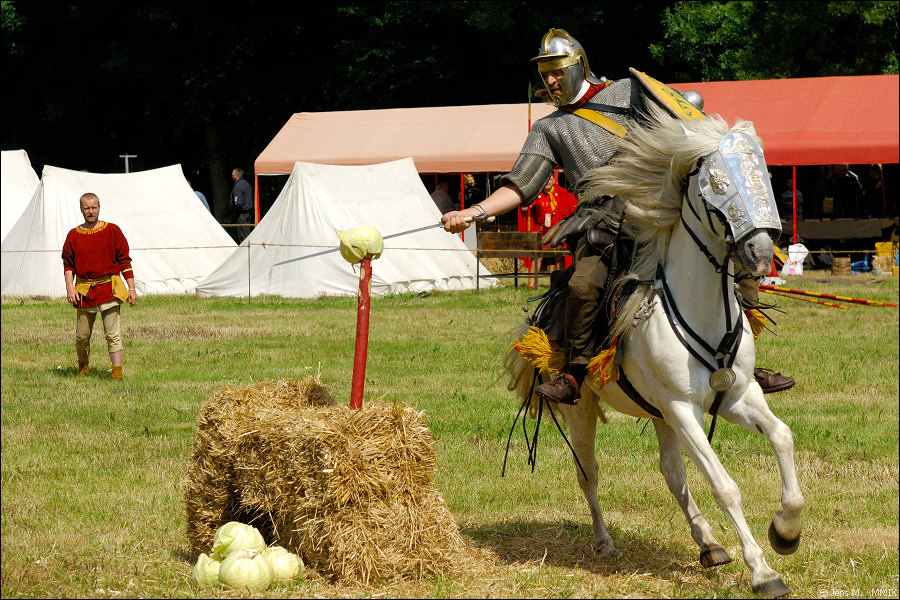 Römer Germanentage 2009 D2X 2261 1