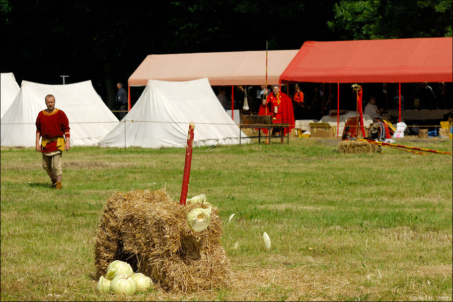 Römer Germanentage 2009 D2X 2264 1