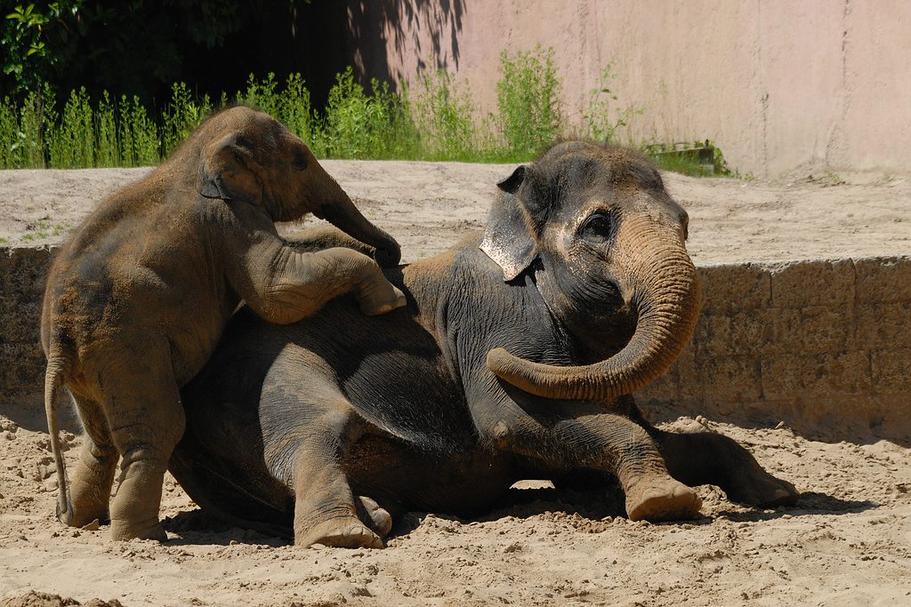 Rückenmassage