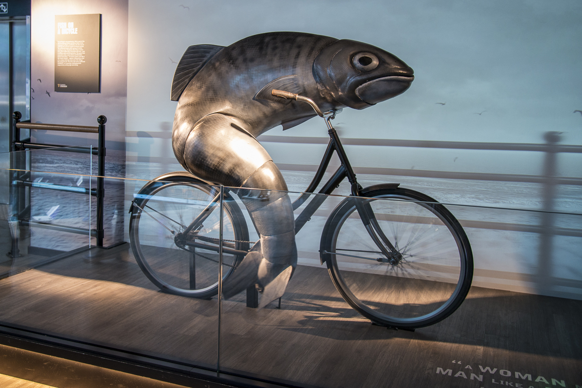 Radelnder Fisch.jpg