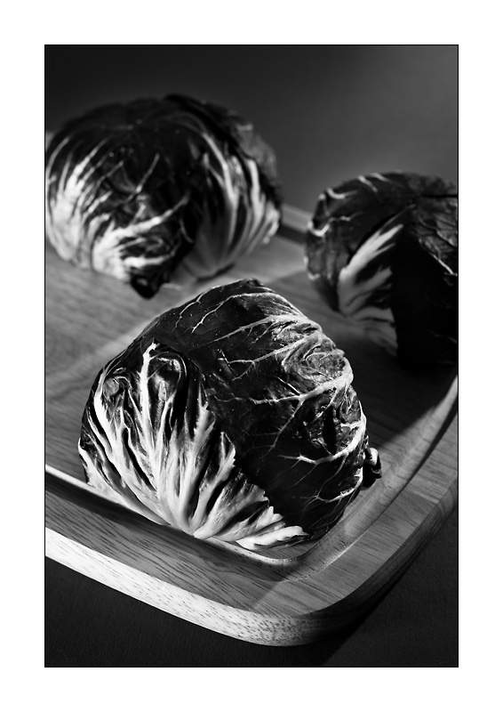 Radicchio 2