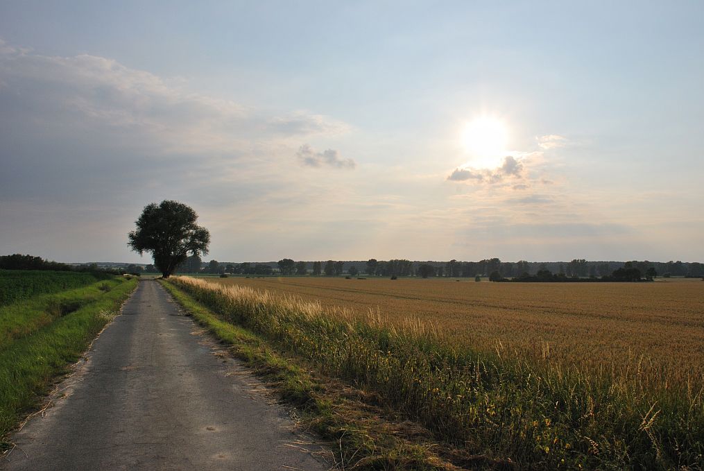 Radtour Asse 2009, links von uns ist das "Hanf-Bild" entstanden