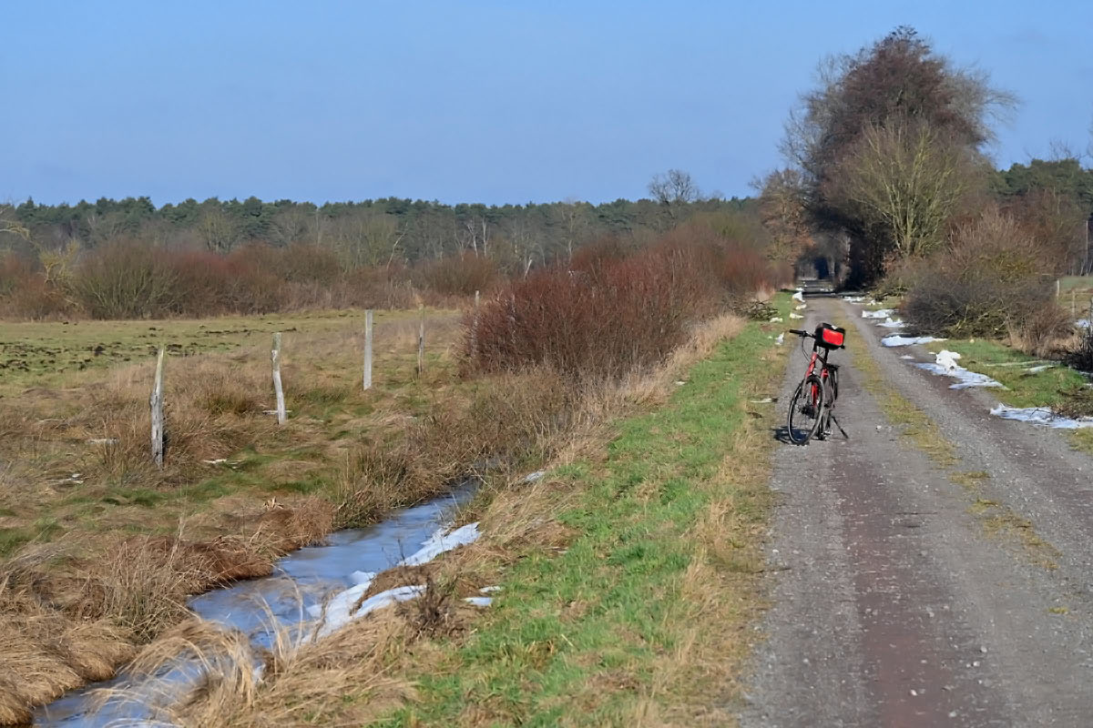 Radtour Lüder Moor.jpg