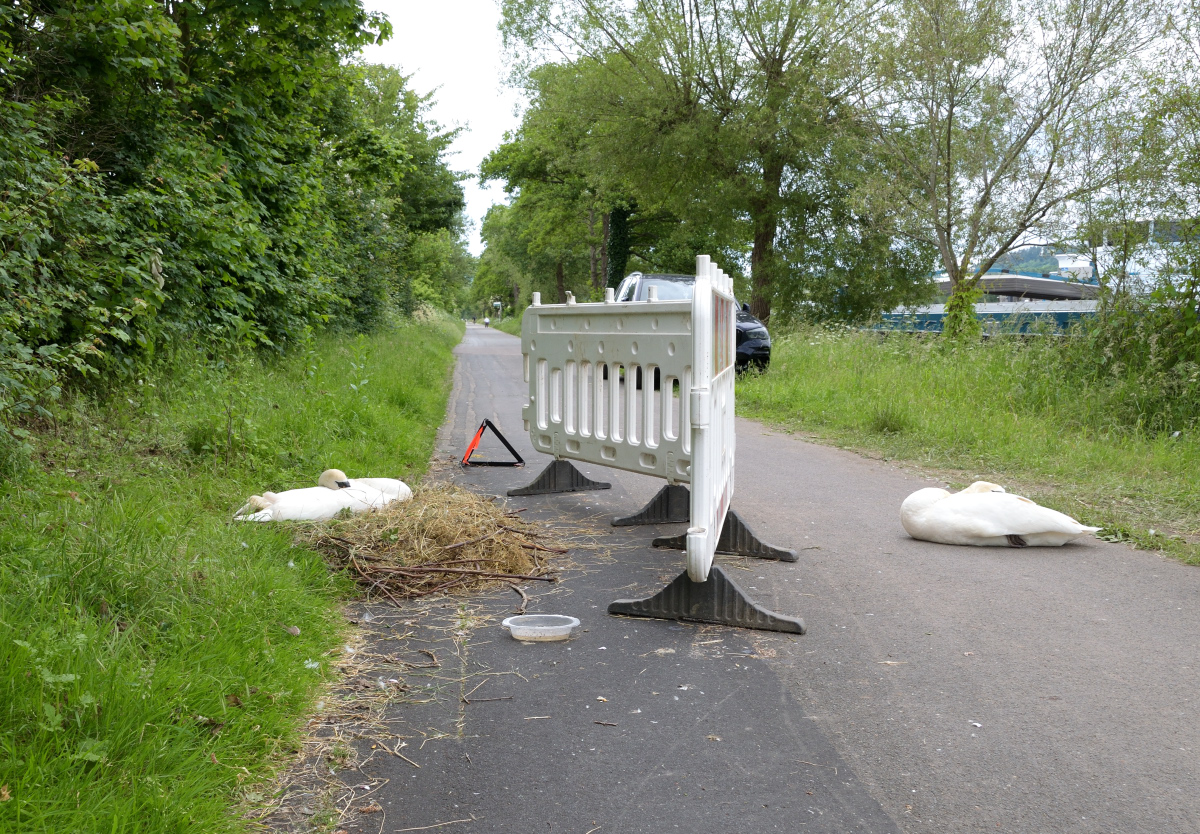 radweg3_201.JPG